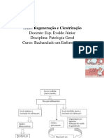 Regeneração e Cicatrização