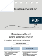 Infeksi ISK