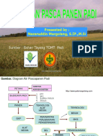 PP Padi Petani 2019 PDF