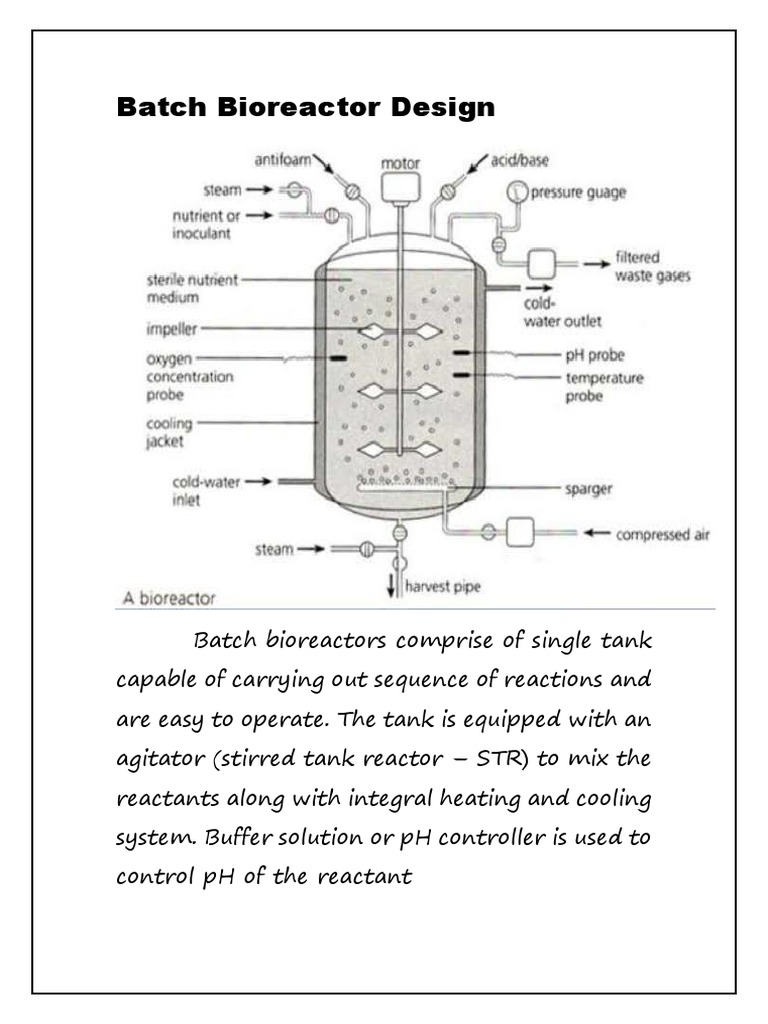 Batch Bioreactor Design Overview | PDF