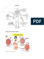 Gambar Sendi Dan Otot