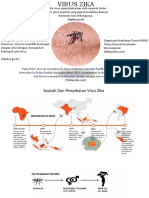 Virus Zica