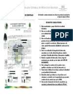 OrigenoIdentidad.pdf