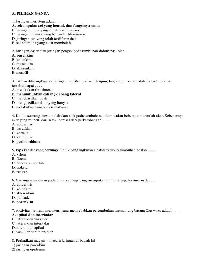 Soal Biologi Jaringan Tumbuhan