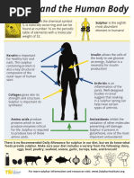 Sulphur and The Human Body