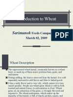 Introduction To Wheat