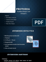 Parasitologi Protozoa