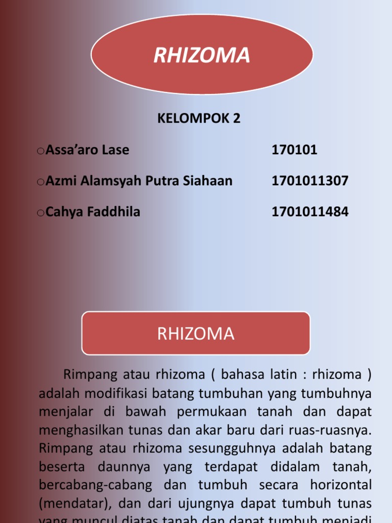 RHIZOMA | PDF