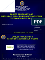 Facies carbonáticas