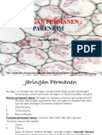 4. Jaringan Permanen_Parenkim, mekanik 2015.pdf