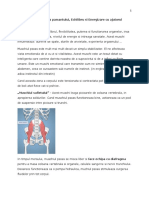 Conectarea Cu Energia Pamantului