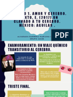 Un Clavado A Tu Cerebro PDF