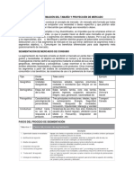 Estimación tamaño mercado segmentación proyección