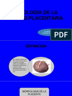 Tarea de Las Diapositivas