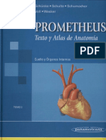 Prometheus- Cuello y Órganos Internos.pdf