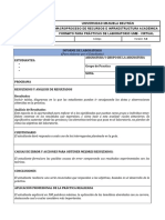 Formato Inf Guia Lab 1 Cambios Fisicos Quimicos