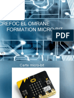 Formation Microbit