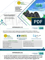 It Snptee2019 Emm Custo Capital Regulatorio Rev 1