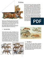Felidae PDF