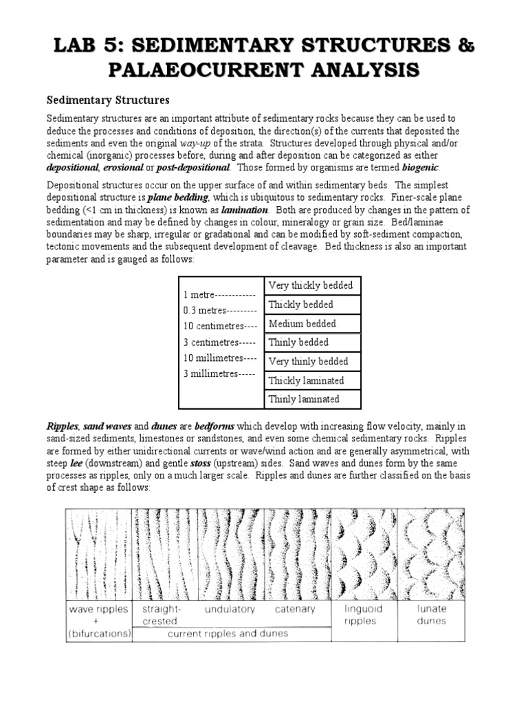 Sedimentary Structure PDF | PDF | Sedimentary Rock | Sedimentology