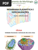 Aula 02- Estrutura e Especializações Da Membrana Plasmática 2018_2