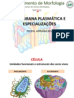 Aula 02- Estrutura e Especializações Da Membrana Plasmática 2018_2