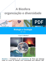 27 Biosfera.pptx