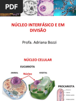 Aula 04 - Núcleo e Apoptose