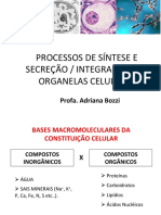 Aula 05 - Síntese e Secreção Celular Fono