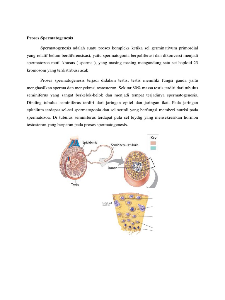 Men metodist Lena bilan jinsiy aloqada bolganman.