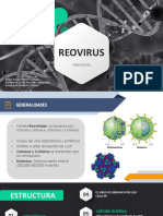 Reovirus