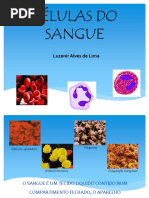 Aula de Células de Sangue