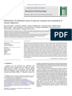 Mechanisms of metformin action AMPK silenced.pdf