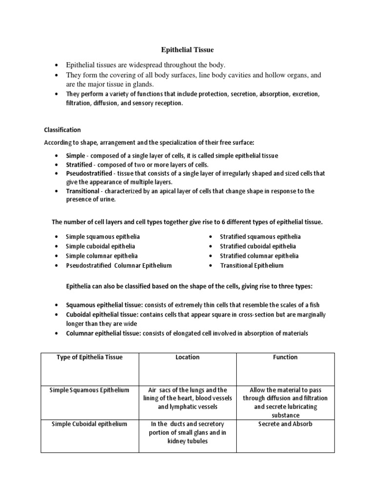 Epithelial Tissue (Finale) | PDF | Epithelium | Animal Physiology