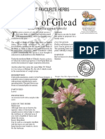 Balm of Gilead-Insect Repellent PDF