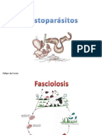 Histoparasitos PDF