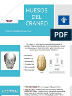 Occipital y Parietal