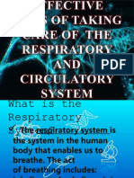 Effective Ways of Taking Care of The Respiratory