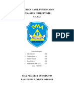 Laporan Hasil PENANAMAN CABAI