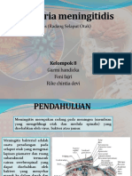 ppt_meningitis.pptx