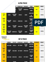 Focus T25-Workout Schedule.pdf