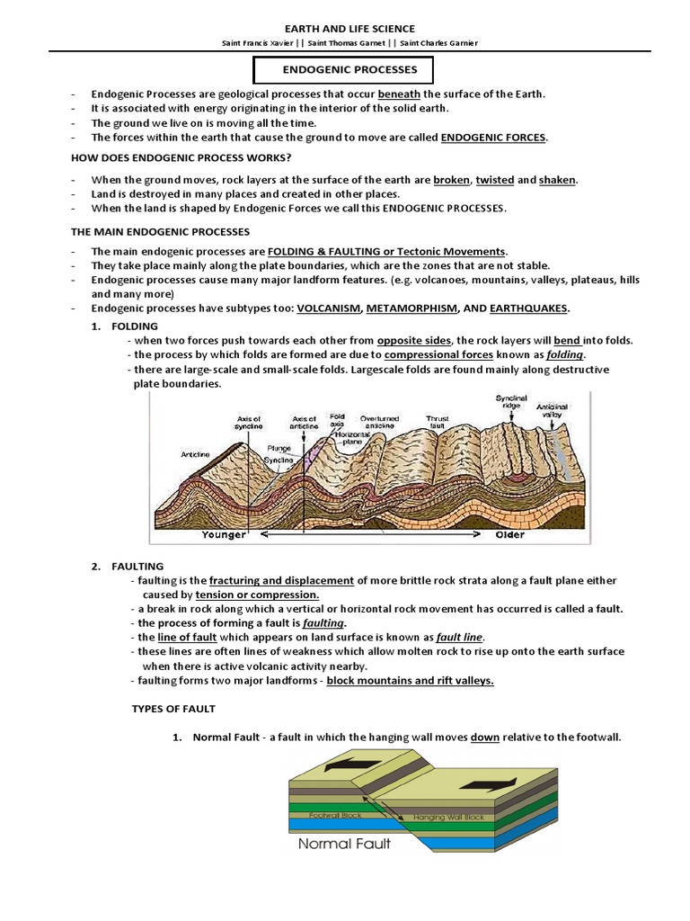 Earth and Life Science Module Finals | PDF | Endoplasmic Reticulum ...