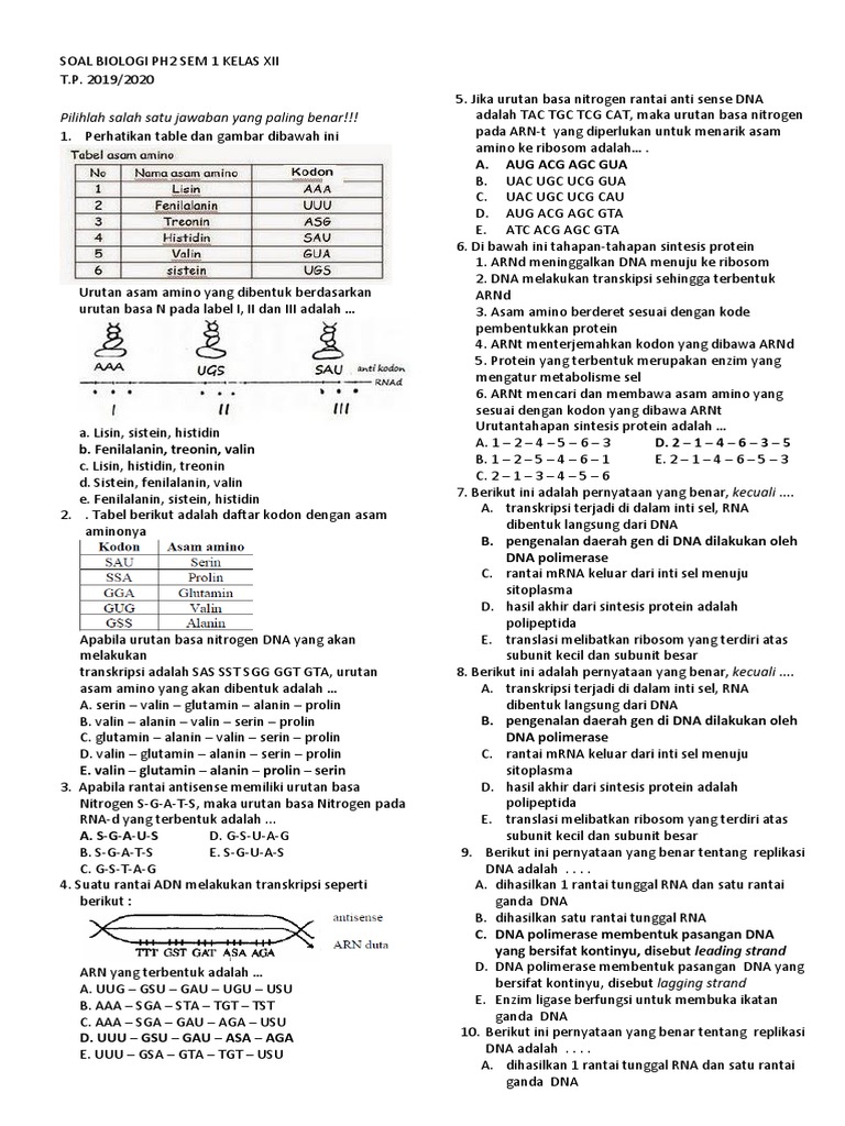 Soal Biologi Kelas XII: Sintesis Protein | PDF