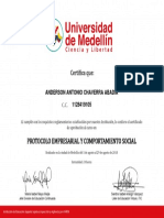 Certificado de Protocolo Anderson Chaverra