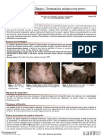 Dermatitis_atopica_Atop7.pdf