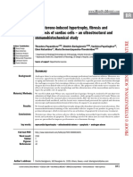 Testosterone-induced hypertrophy, fibrosis and apoptosis of cardiac cells – an ultrastructural and immunohistochemical study