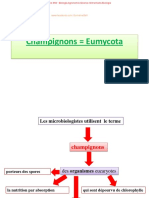 L3 Mycologie