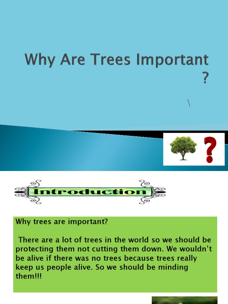 Why Are Trees Important PDF