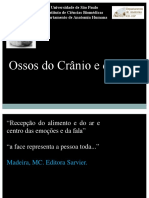 Ossos Do Crânio e Da Face