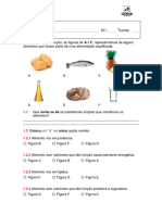 Ficha 1 Alimentaçãogfn